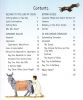 Time Travel Guide to the Land of Jesus
