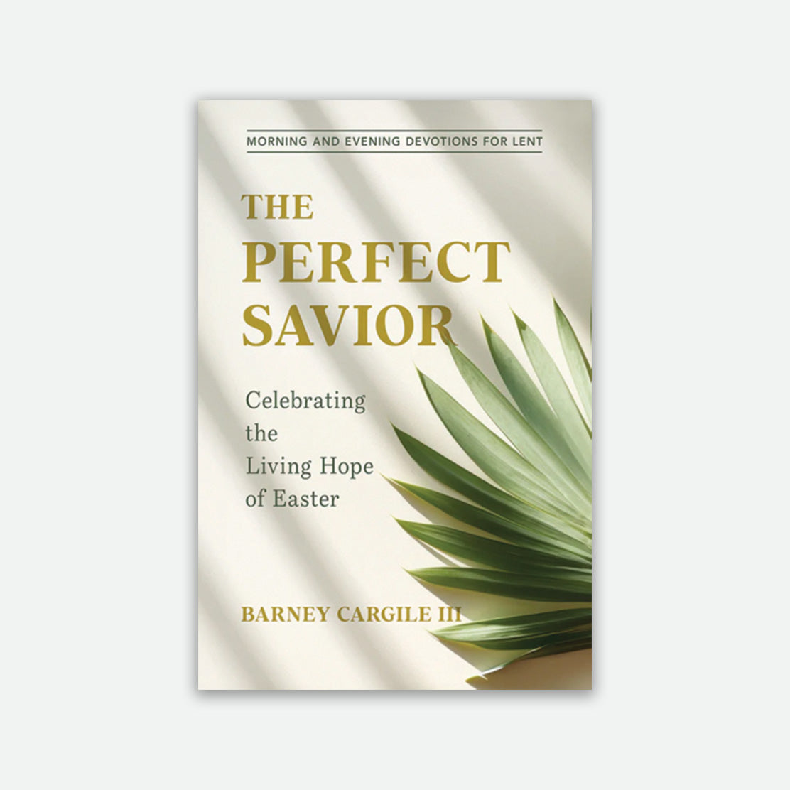 The Perfect Savior