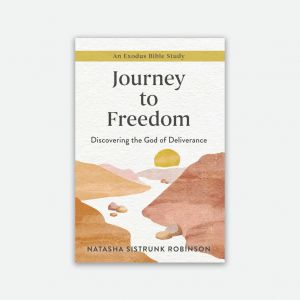 Journey to Freedom